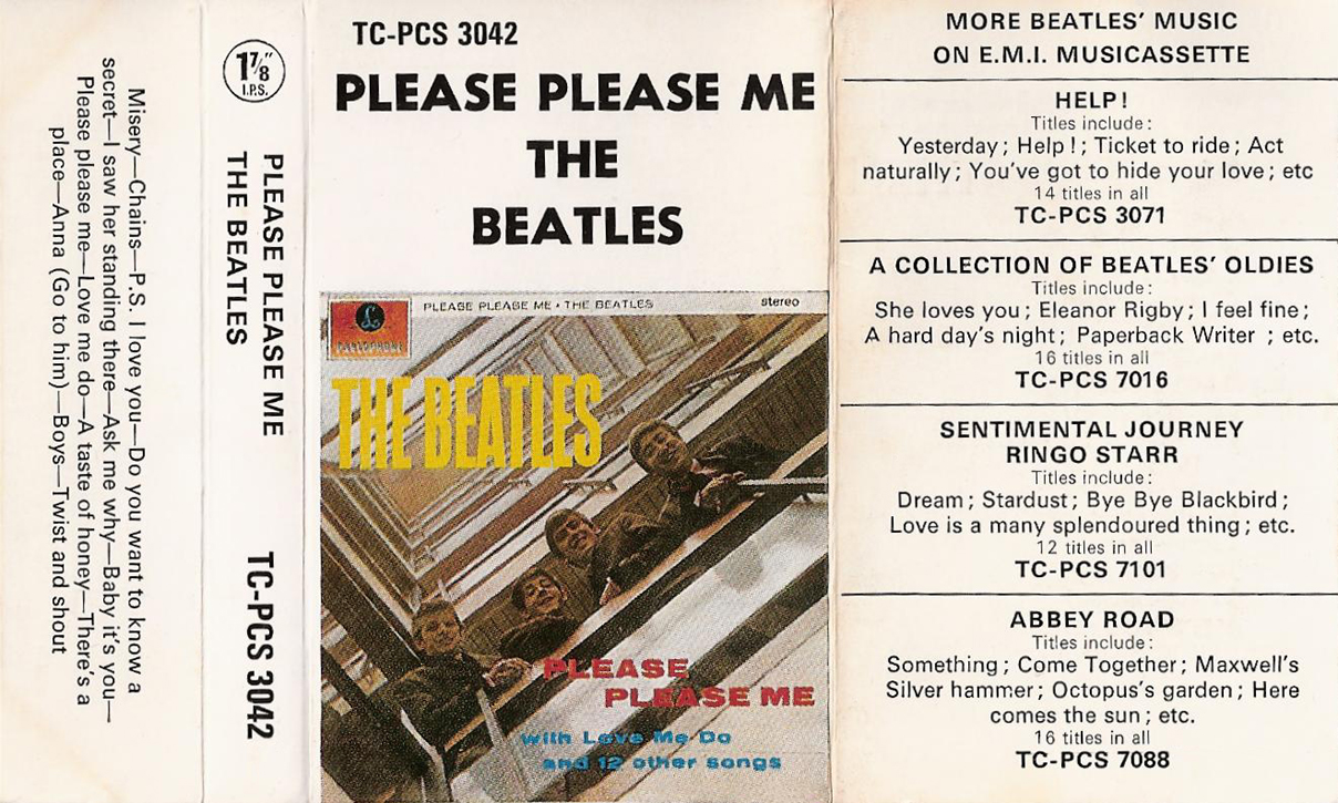 Перевод песни please please me