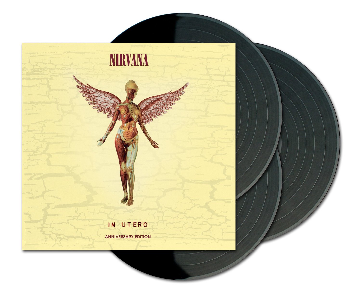 Scentless apprentice. Nirvana in utero диск. 1993 - In utero. Nirvana utero. Nirvana in utero винил.