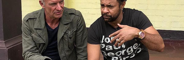 Sting & Shaggy: 44/876 review