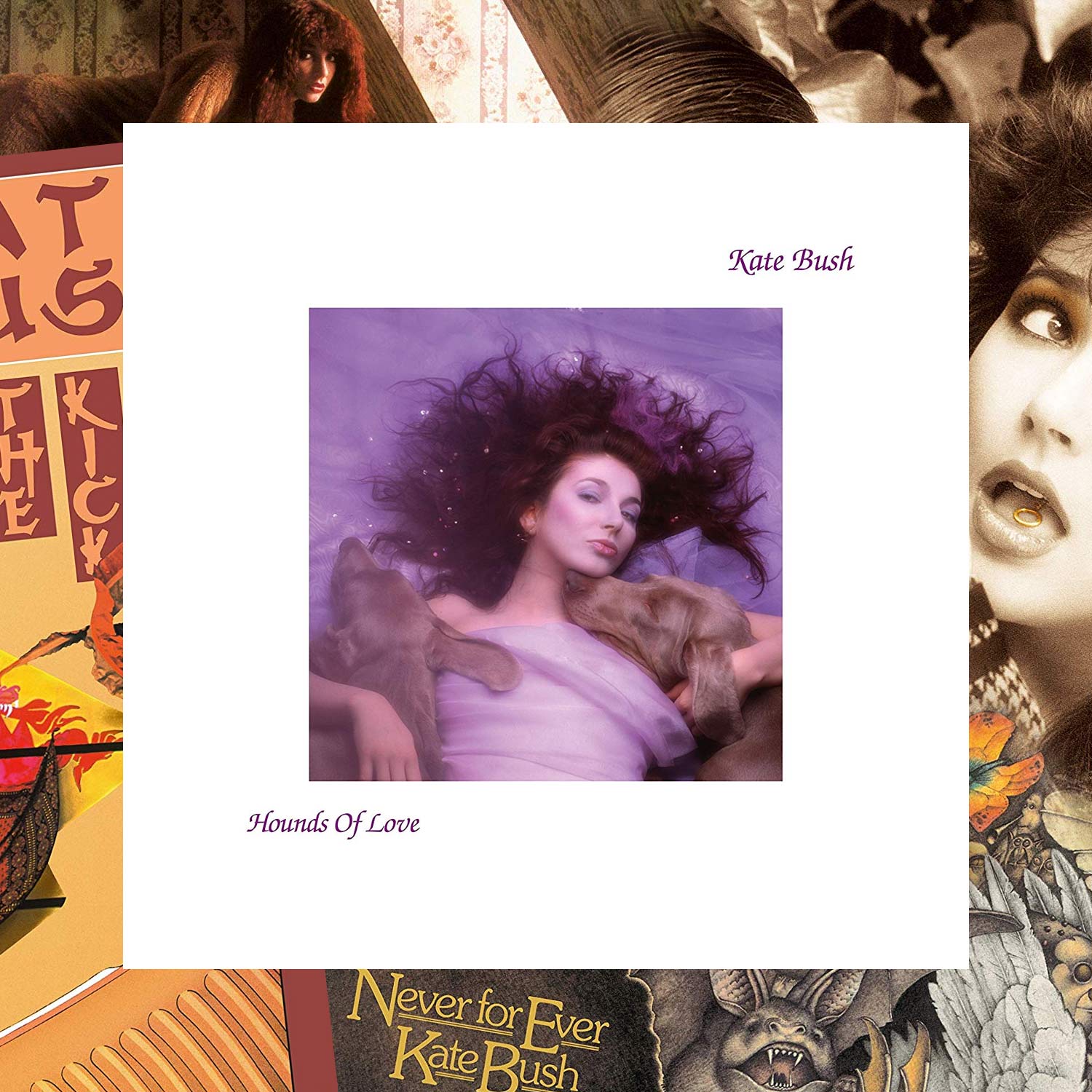 Kate Bush / remastered albums – SuperDeluxeEdition