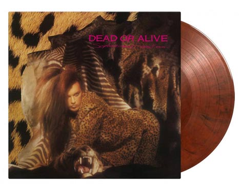 Dead Or Alive: Still Spinnin': The Singles Collection 1983-2021