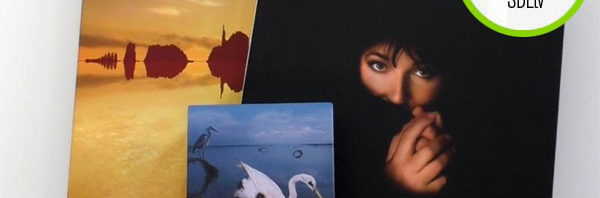 SDEtv / Kate Bush: Unboxing the remastered CD and vinyl box sets part 2