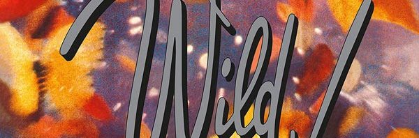 Erasure / Wild 2CD deluxe