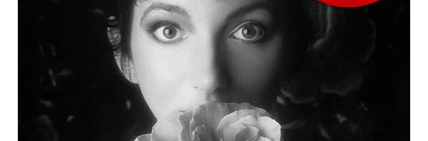 Deal alert / Kate Bush box set bargains