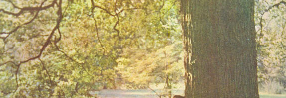 Plastic Ono Band book all but confirms John Lennon album reissue