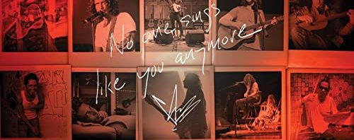 Chris Cornell / No One Sings Like You Anymore
