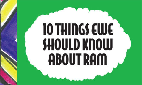 10 Things Ewe Should Know About Ram