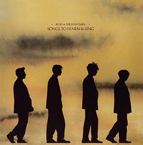 Echo and the Bunnymen / Songs to Learn & Sing vinyl reissue