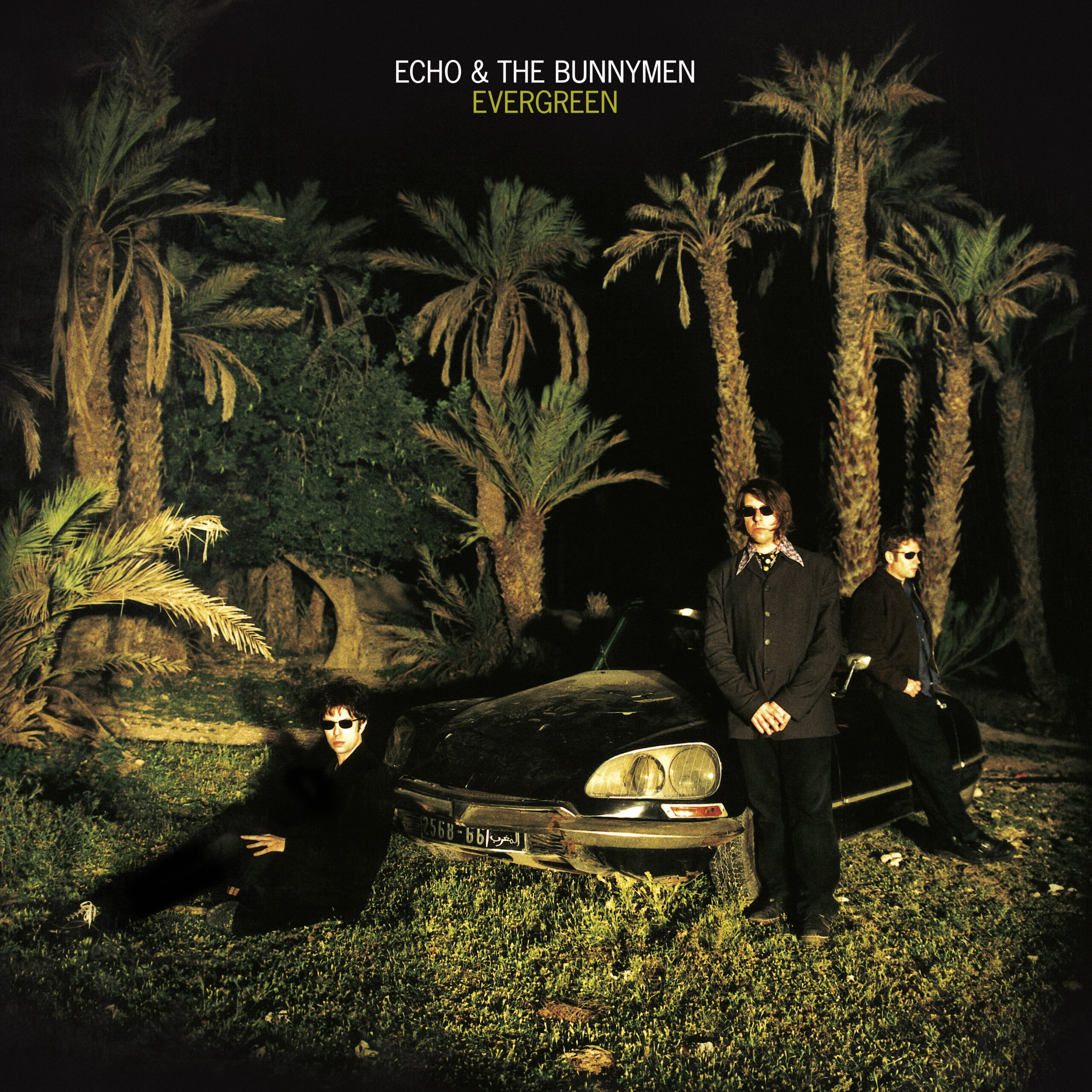 Echo And The Bunnymen Crocodiles