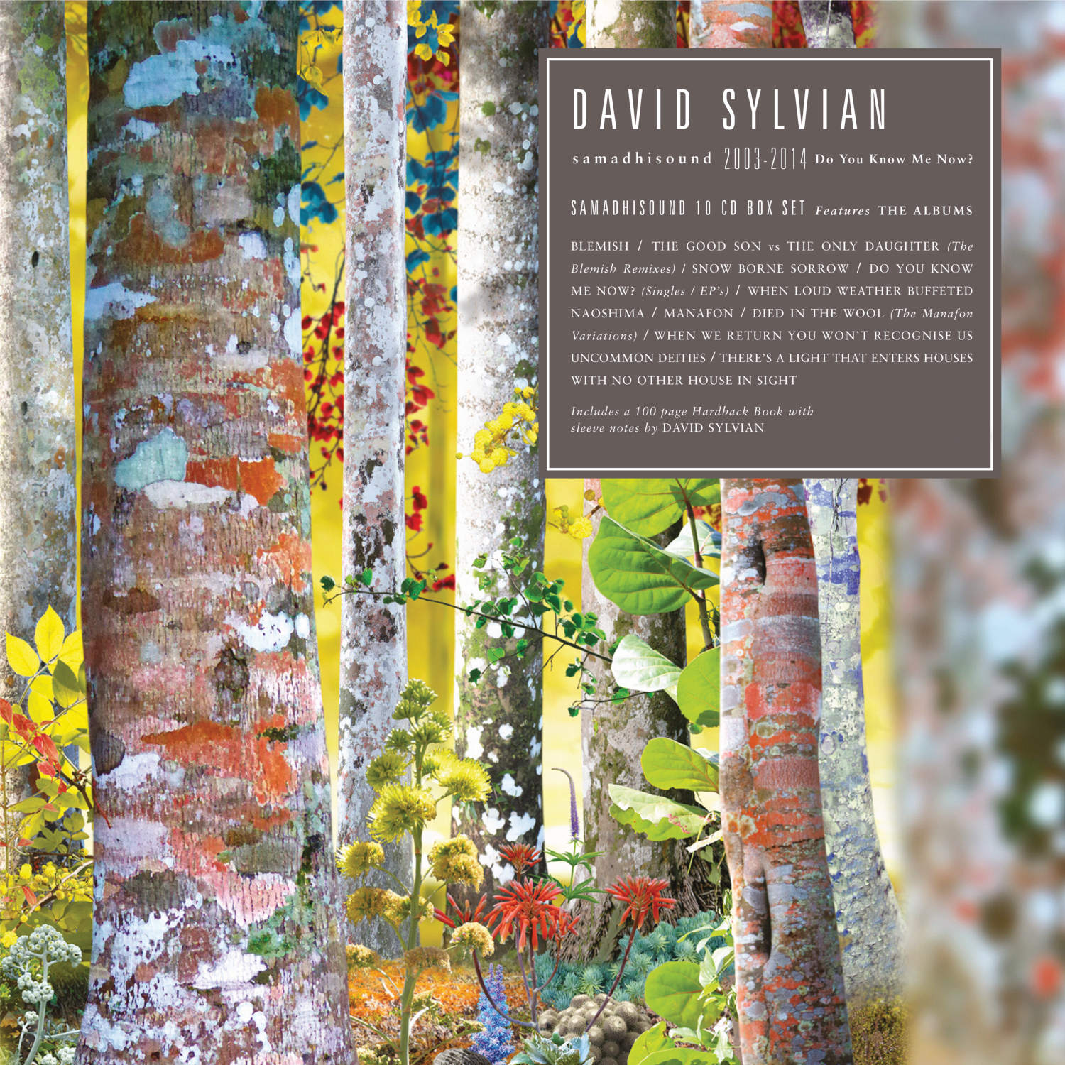 David Sylvian / samadhisound 2003-2014: Do You Know Me Now 