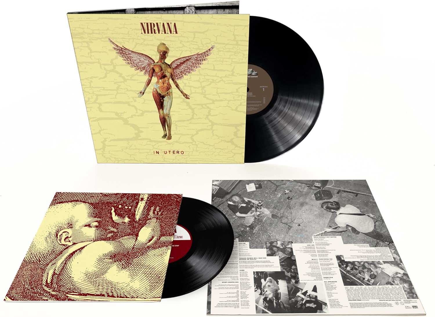 Nirvana / In Utero 30th anniversary reissue – SuperDeluxeEdition