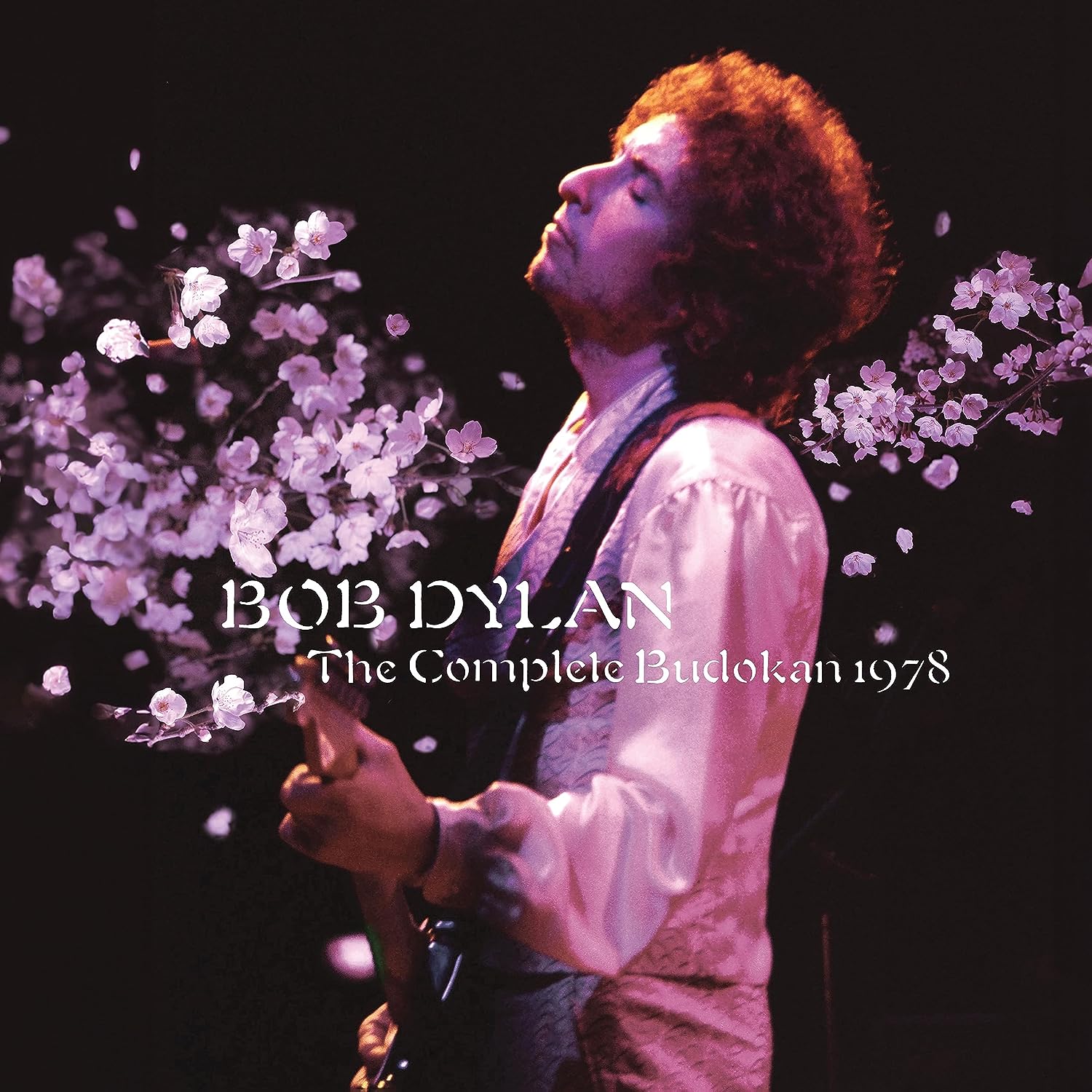 bob dylan australian tour 1978