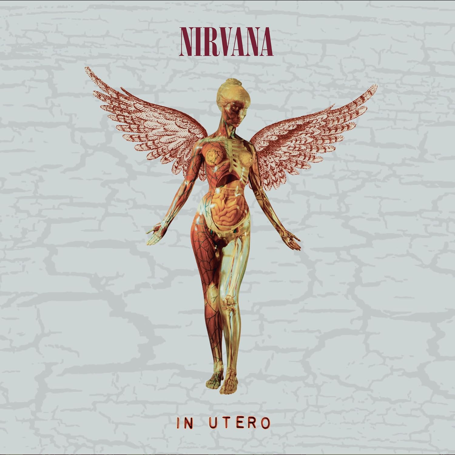 Nirvana / In Utero 30th anniversary reissue – SuperDeluxeEdition