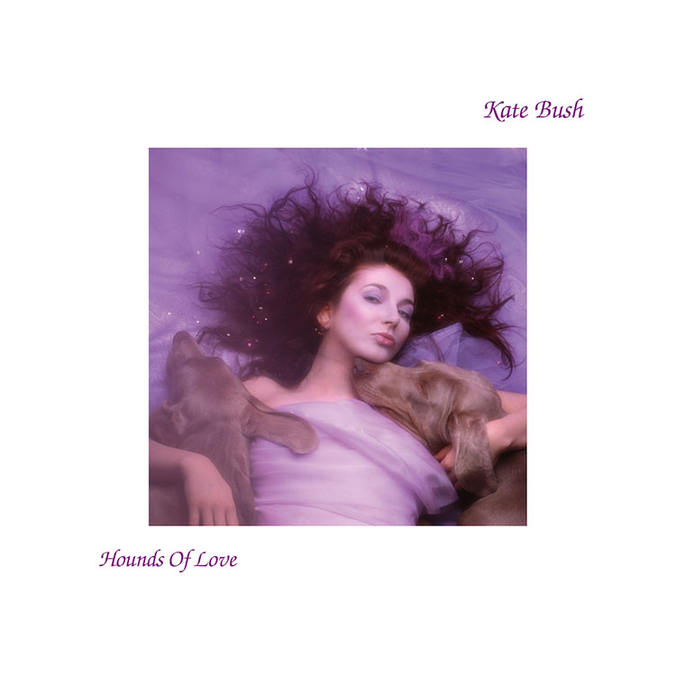 There's a rumour going around about a new Kate Bush album in 2023