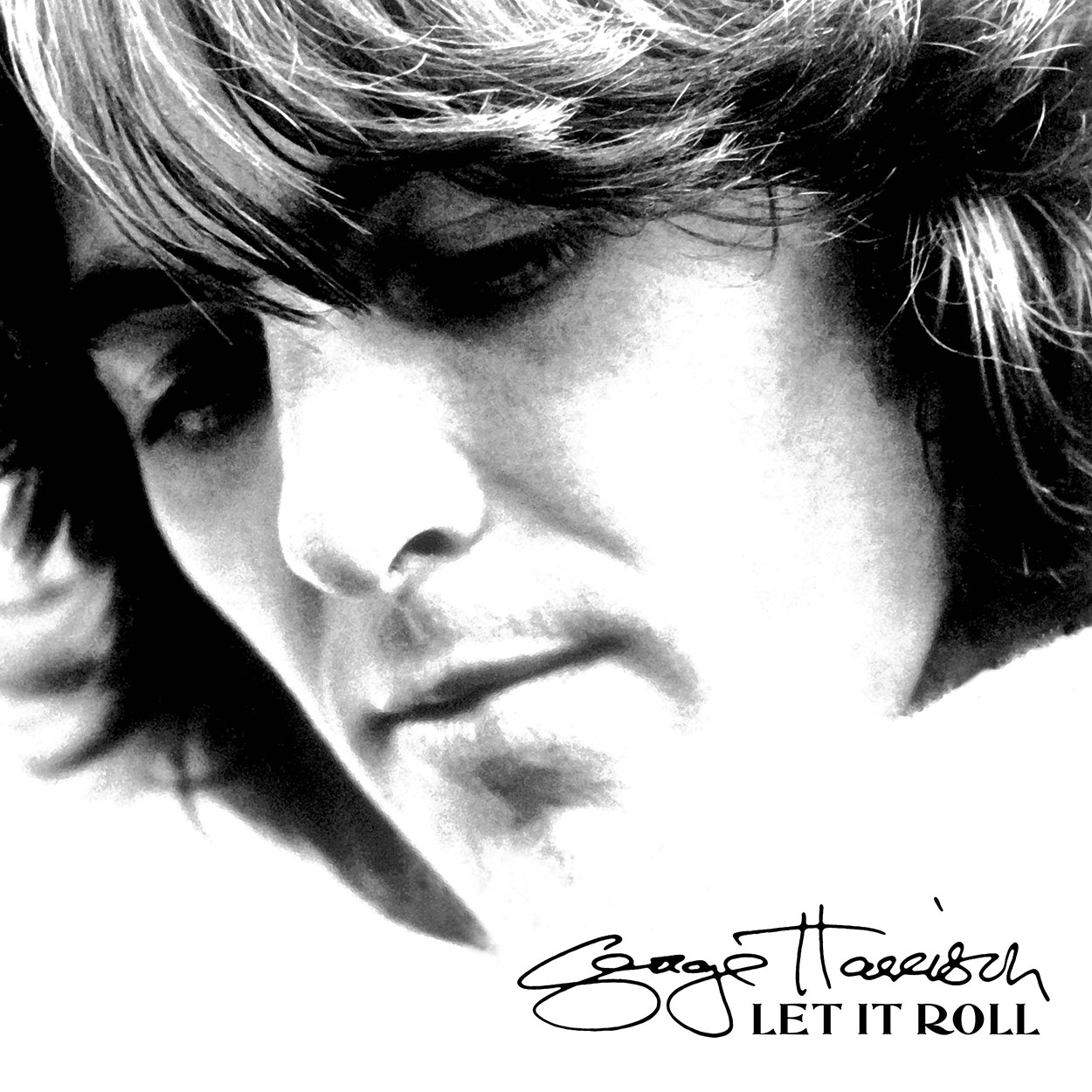 George Harrison / Let It Roll 2LP vinyl